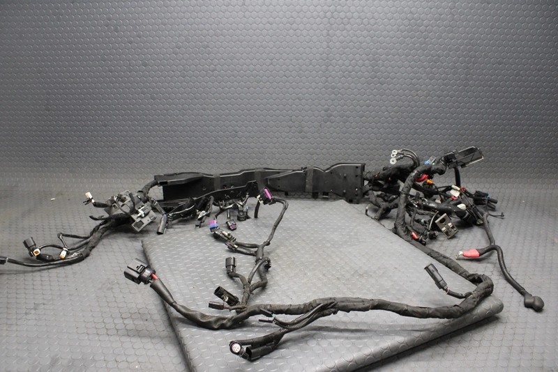 2024 Harley Street Glide Main Wiring Harness ABS OEM 69202979A