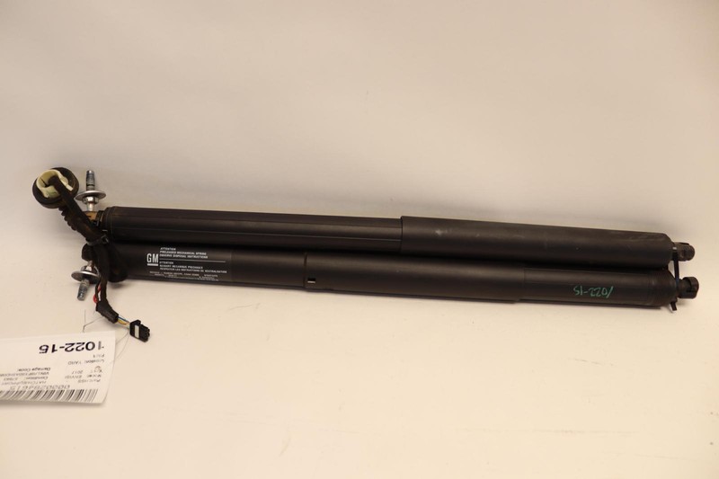 2016-2020 BUICK ENVISION TAILGATE LIFTGATE POWER LIFT STRUT SUPPORT PAIR OEM