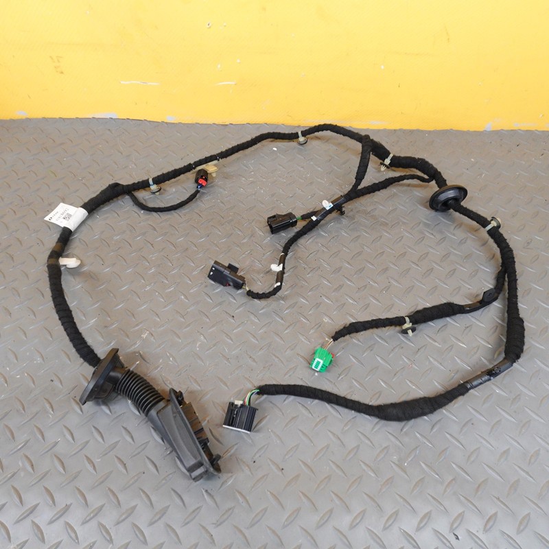 2024-2025 BUICK ENCORE GX REAR RIGHT SIDE DOOR PANEL WIRE WIRING HARNESS OEM