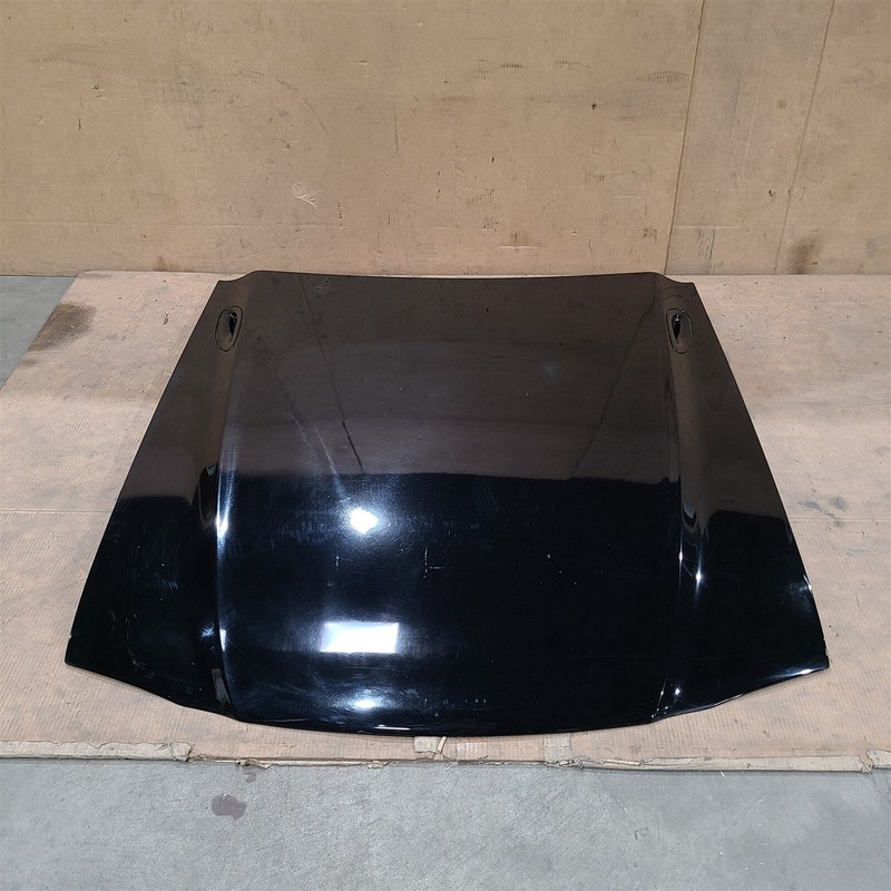 94-98 Mustang GT Hood Aa7407