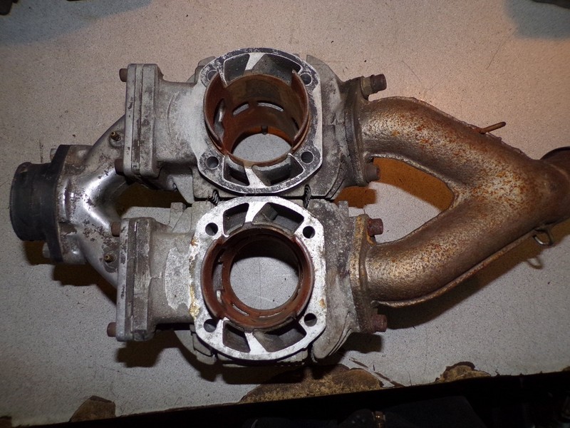 Polaris Motor Cylinder with Exhaust Manifold Y 433CCSF *FREE SHIPPING*