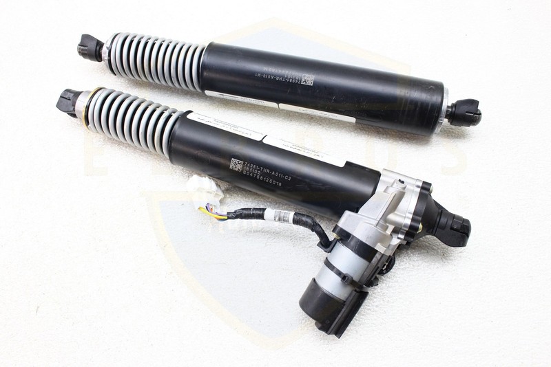 2018 2019 HONDA ODYSSEY TAILGATE TRUNK LIFT SUPPORT SHOCK STRUTS PAIR OEM