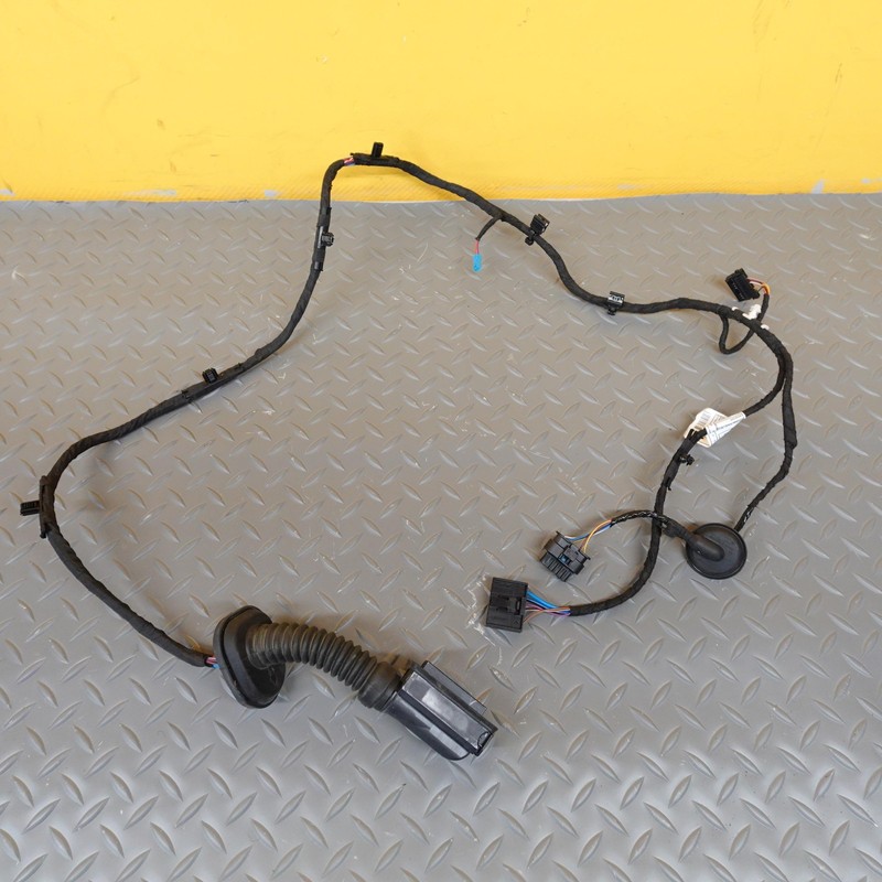 2023-2026 BMW X2 X1 U10 U11 REAR LEFT SIDE DOOR PANEL WIRE WIRING HARNESS OEM