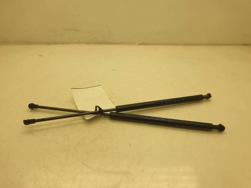 2006 LEXUS GS300 LEFT AND RIGHT SIDES HOOD STRUT PAIR
