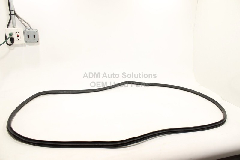 2019-2025 RAM 1500 5th Gen Crew Cab Rear Right Door Weatherstrip on Body OEM