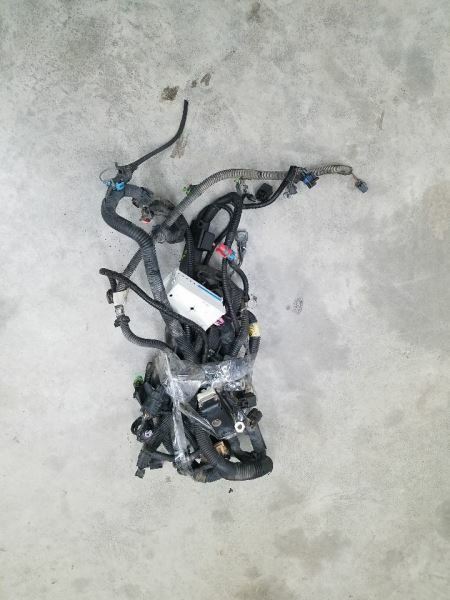 TRAILBLAZ 2002 Engine Wire Harness 230518