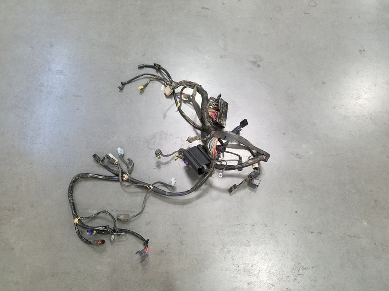 2006 06 Harley Softail HeritageWiring Harness EFI #6578 P5