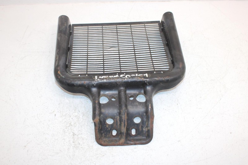 2002 Polaris Sportsman 500 Oem Front Brush Guard 5244731-067; 1013772-067 AP154
