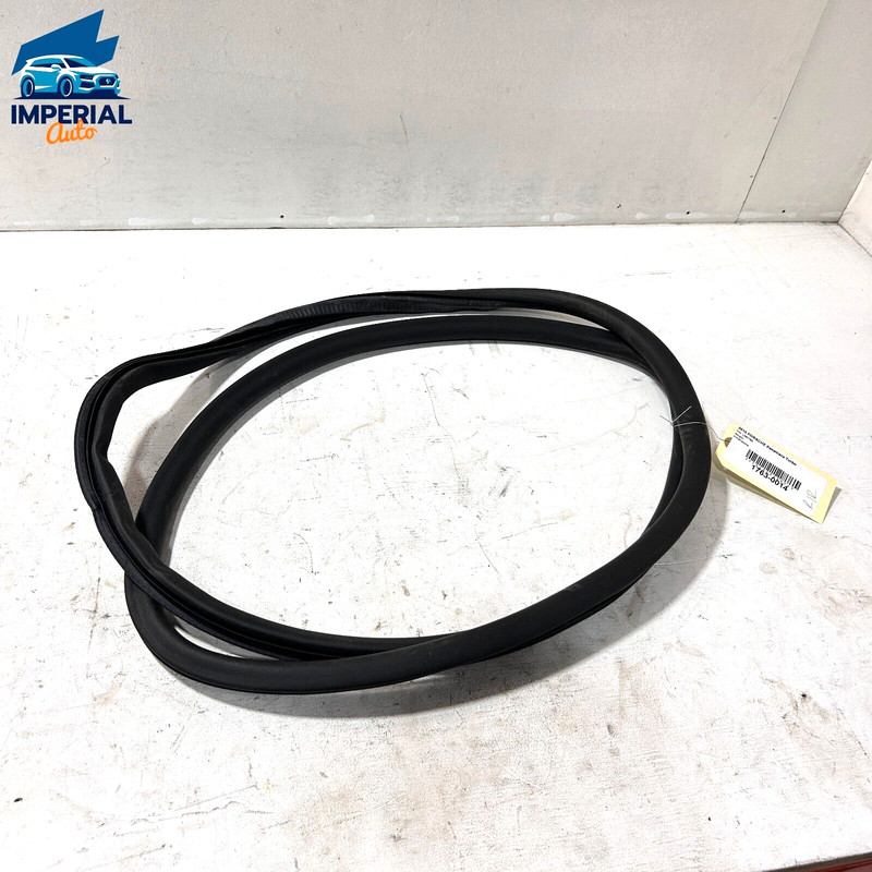 Rear Right Side Door Body Weatherstrip Seal Porsche Panamera 2010-2016 OEM