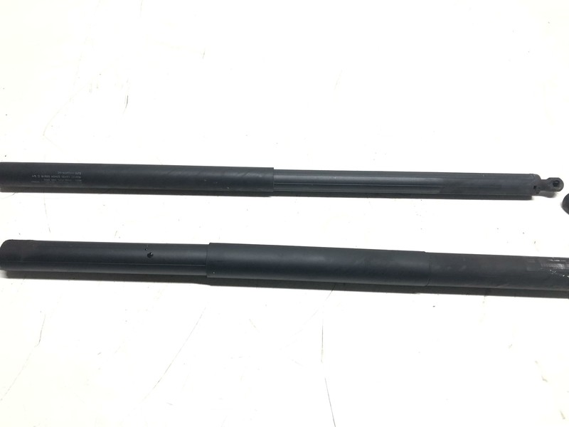 15-19 Lincoln MKC Rear Liftgate Strut Set Assemvbly Oem Tested