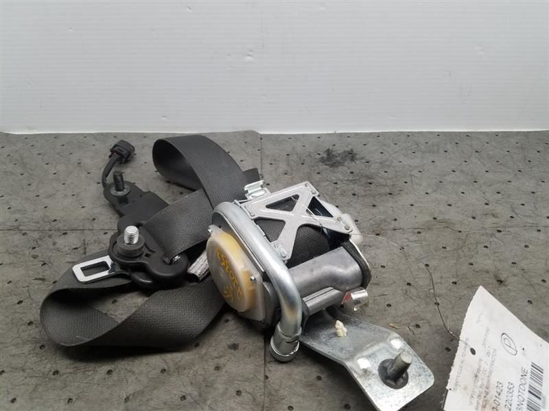 Seat Belt Front Bench 40/20/40 Passenger Fits 09-14 FORD F150 PICKUP 944267