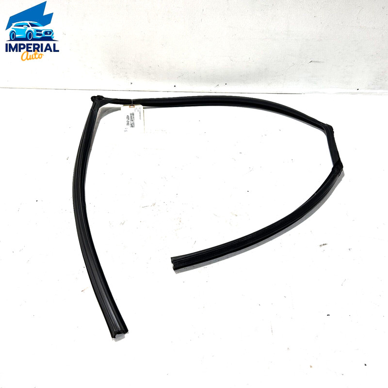 HONDA ACCORD LX 2018-2020 REAR PASSENGER DOOR WINDOW GLASS RUN CHANNEL SEAL OEM