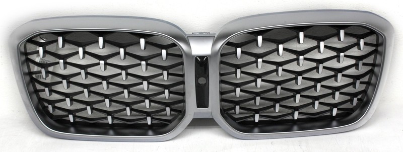 OEM Upper Grille Insert For BMW X4 xDrive30i 51-13-5-A20-763 Silver surround