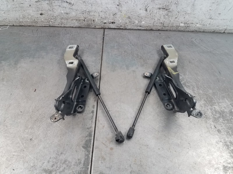 2019 Ford F150 Raptor 4x4 Hood Hinges / Struts #3737 C2