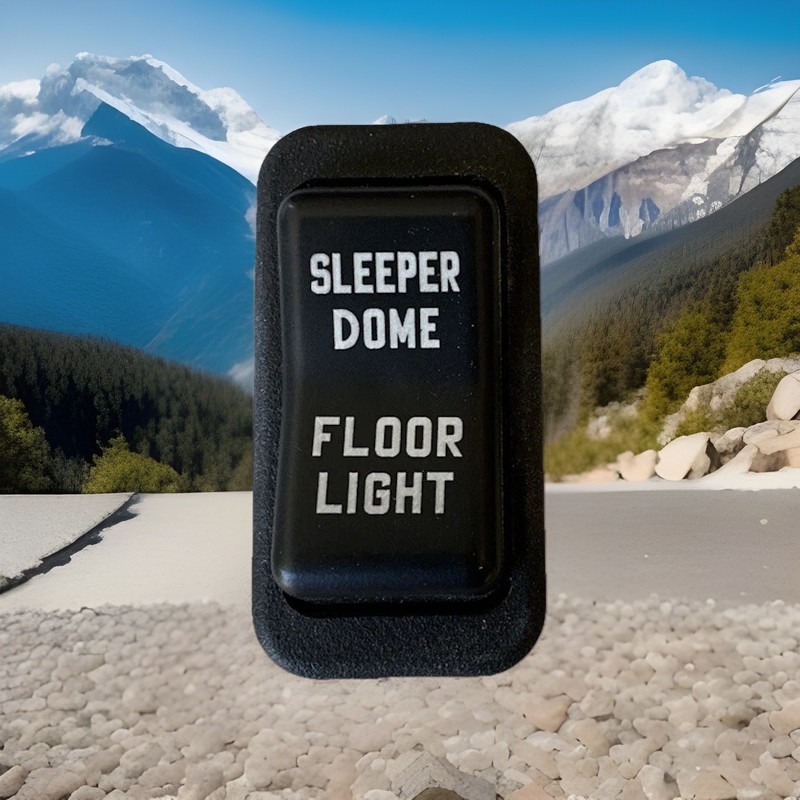 ✅ 2019 INTERNATIONAL LT SLEEPER FLOOR DOME LIGHT SWITCH 3596760C1 OEM ✅