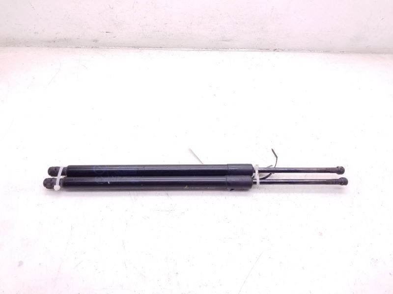 13-15 TOYOTA RAV4 LEFT AND RIGHT SIDES HOOD STRUT PAIR