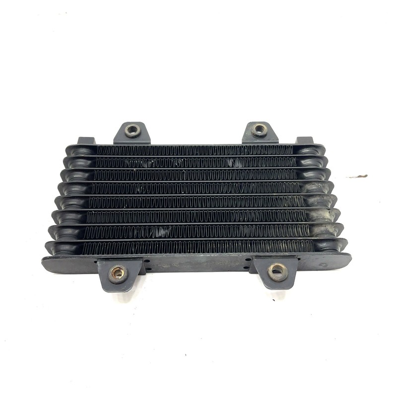 99-02 Arctic Cat 250 2x4 OEM Oil Cooler 0413-011 AA31