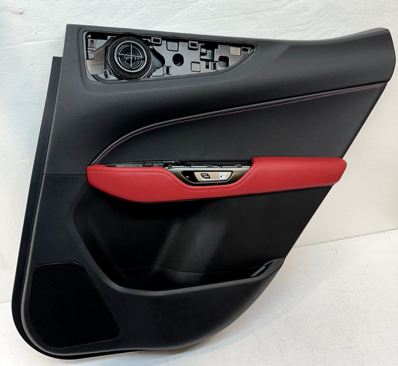 2023-24 LEXUS NX F SPOR REARH DOOR TRIM PANEL OEM