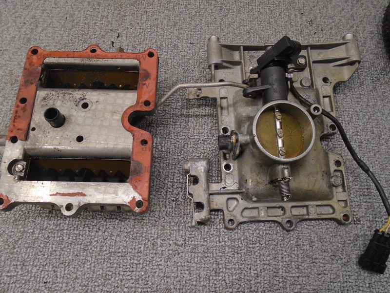 Throttle Body W Reed Plate Assy 5008407 2004-2010 40-65 Hp Evinrude Outboard