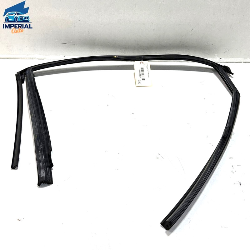 2017-2023 Audi Q7 Premium Rear Passenger Door Window Glass Run Channel Seal OEM