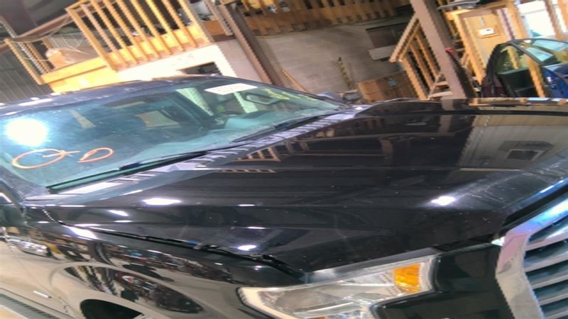 Hood Fits 15-20 FORD F150 PICKUP 3417893