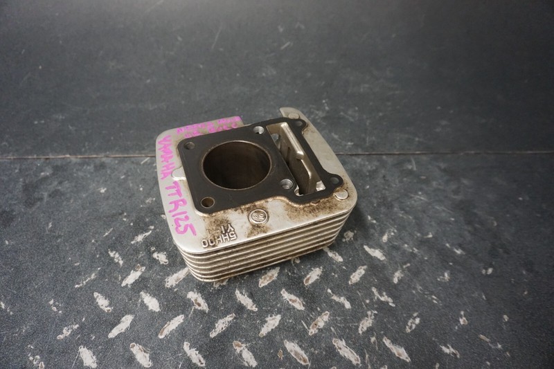 2000-2022 TTR-125 Yamaha Dirtbike OEM Engine Motor Cylinder Bore Jug Ass'y