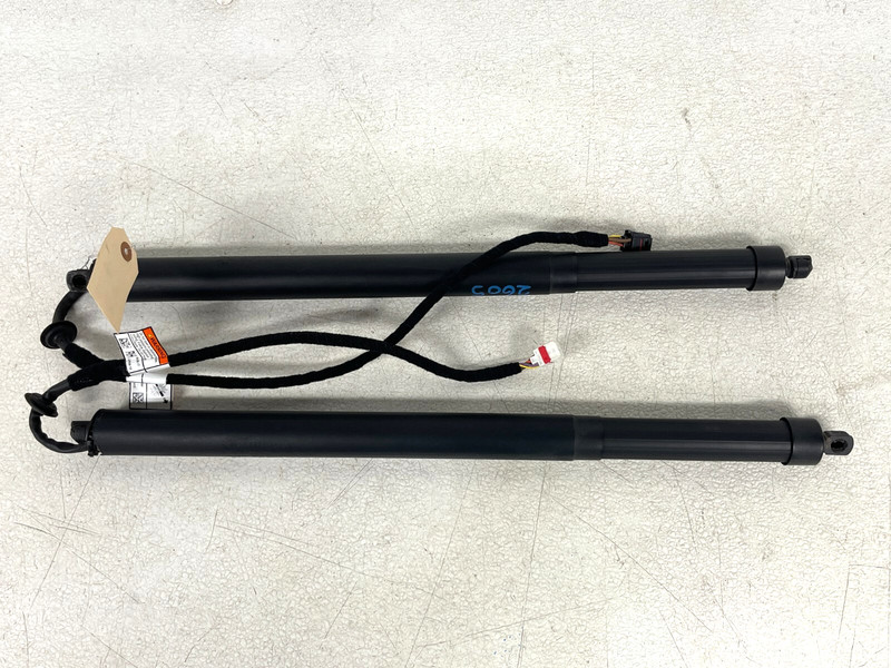 ⭐2015-2019 LAND ROVER DISCOVERY SPORT TRUNK LID LH & RH SHOCK STRUT OEM LOT2605