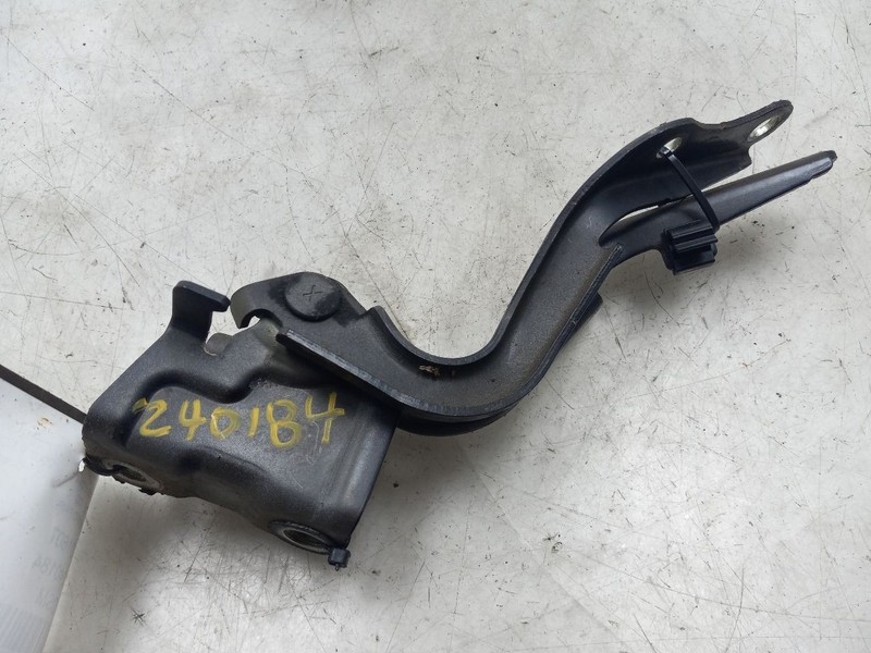 2007 TOYOTA FJ CRUISER 4.0L 4WD AT LEFT AND RIGHT SIDE HOOD HINGES