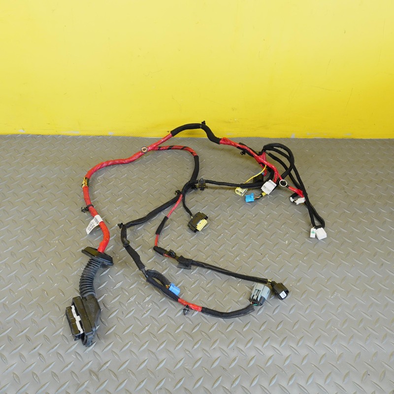 2022-2024 HYUNDAI IONIQ 5 FRONT LEFT DOOR WIRE WIRING HARNESS OEM 916J0GI161BA