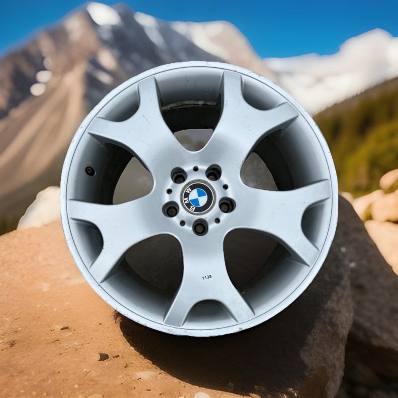 ✅ 2000-06 BMW X5 E53 Factory Rear Wheel Rim 19x10 Alloy 5 Y Spoke OEM ✅
