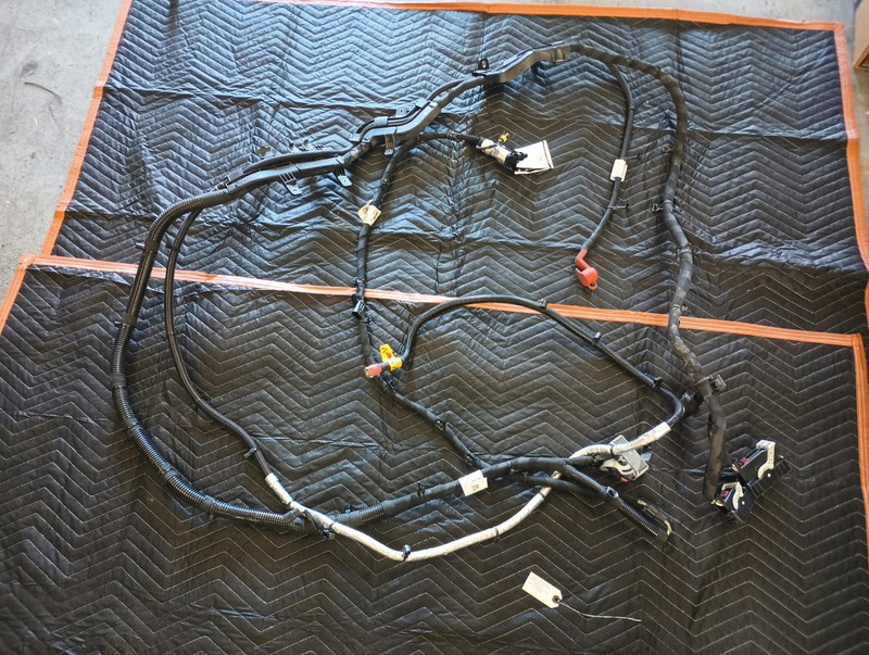 Used Oem Dodge Front Body Wiring Harness for 2024-2025 Hornet Hybrid 1.3L AWD