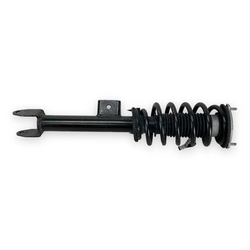 2017-2023 Tesla Model 3 RWD Front Left Driver Side Strut Shock Absorber OEM