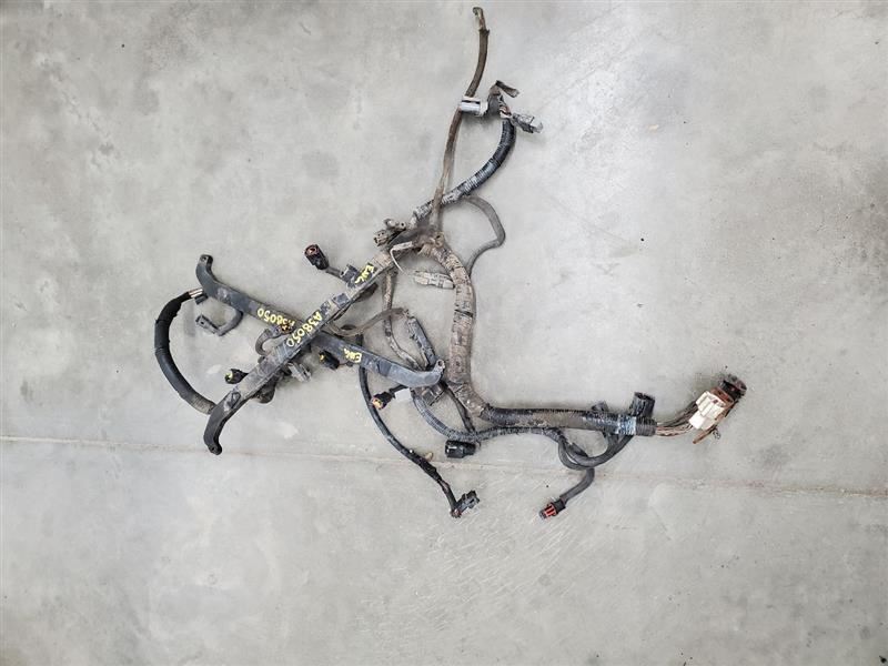 F2501990 Engine Wire Harness 275650