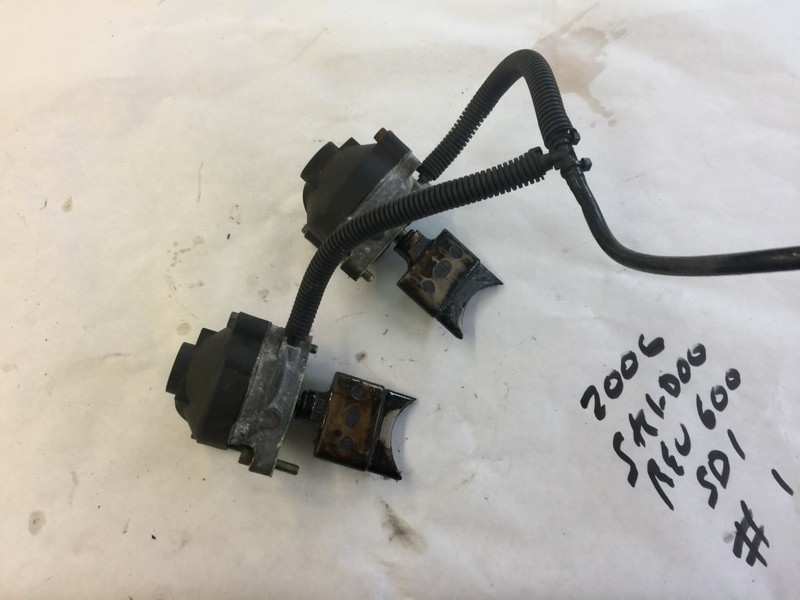 Ski-doo MXZ 600 SDI Rave Valve Assy (pair) 420854650