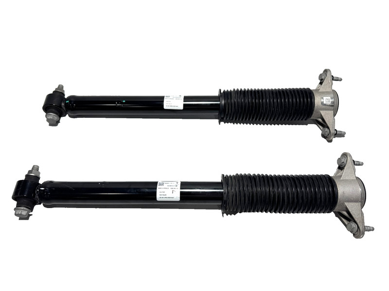 📌17-23 TESLA MODEL 3 REAR LEFT & RIGHT SIDE SHOCK STRUT ABSORBER SET OF 2 OEM