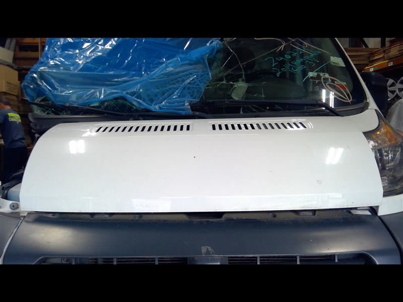 Hood Fits 14-20 PROMASTER 1500 VAN 1395236