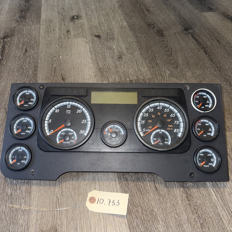 Freightliner Cascadia Instrument Cluster A06-84379-000