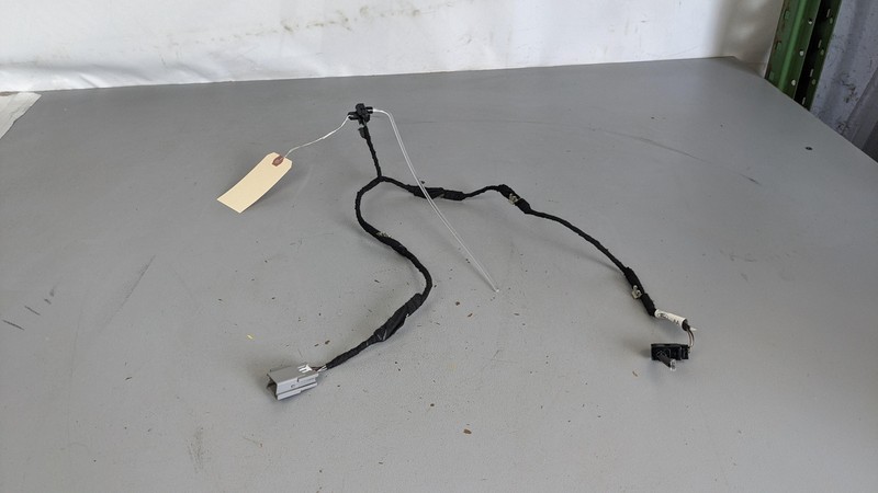 Rear Right Door Wiring Harness w/ Ambient Light 2020 Ford Expedition 2021 2022