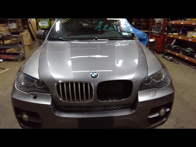 Hood Bonnet Titanium Grilles Fits 07-13 BMW X5 1101848