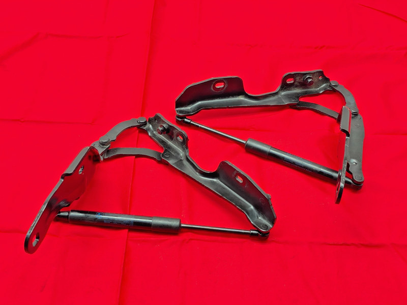 09-16 BMW E89 Z4 Rear Left & Right Side Trunk Lid Hinges Support Shock Set OEM ✅
