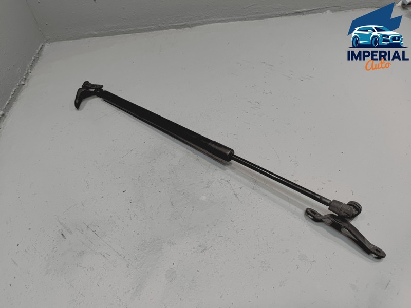 2019-2025 Toyota RAV4 Tailgate Liftgate Passenger Side Lift Support Cylinder OEM