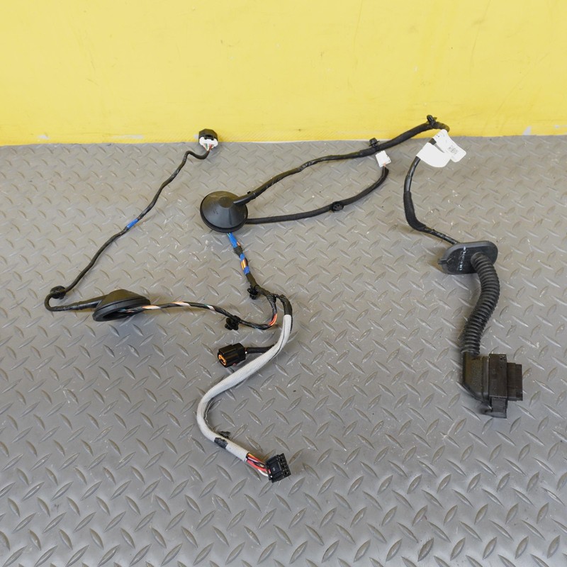 2024-2025 HYUNDAI SANTA FE RIGHT REAR DOOR WIRE WIRING HARNESS OEM 91630R6010MA