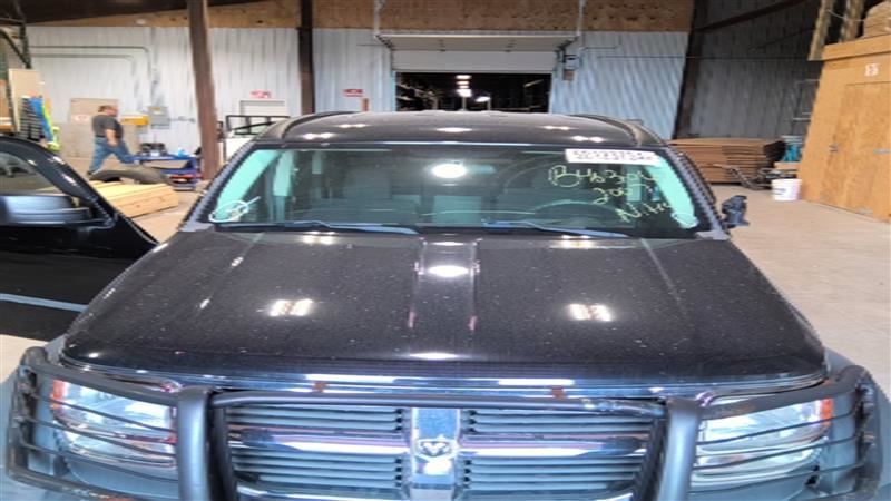 Hood Fits 07-11 NITRO 3330725