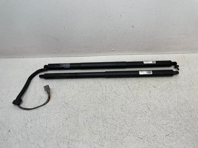 12-20 Tesla Model S Rear Right Left Trunk Support Shock Strut Set Pair OEM BTP1
