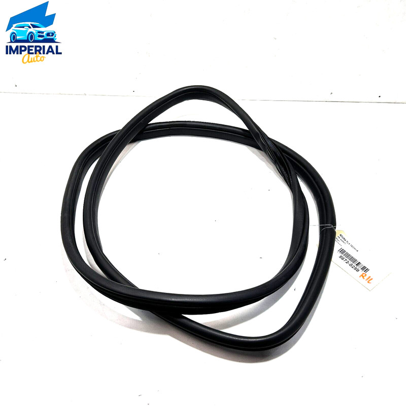 2018-2020 Acura TLX Rear Left Driver Side Door On Body Weatherstrip Seal OEM