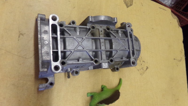 Cylinder Head, 5630845 *Free Shipping*