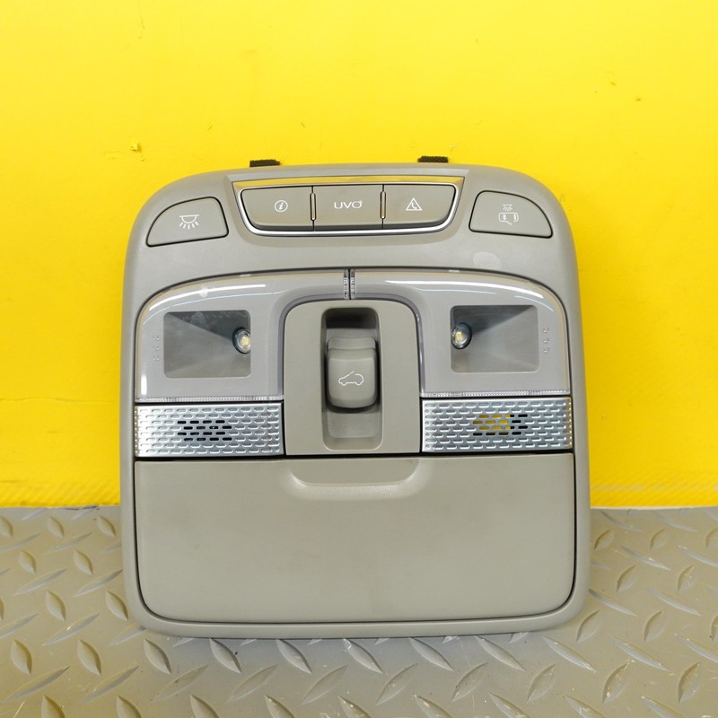 2020-2022 KIA TELLURIDE Front Roof Overhead Dome Light OEM 92800s9100