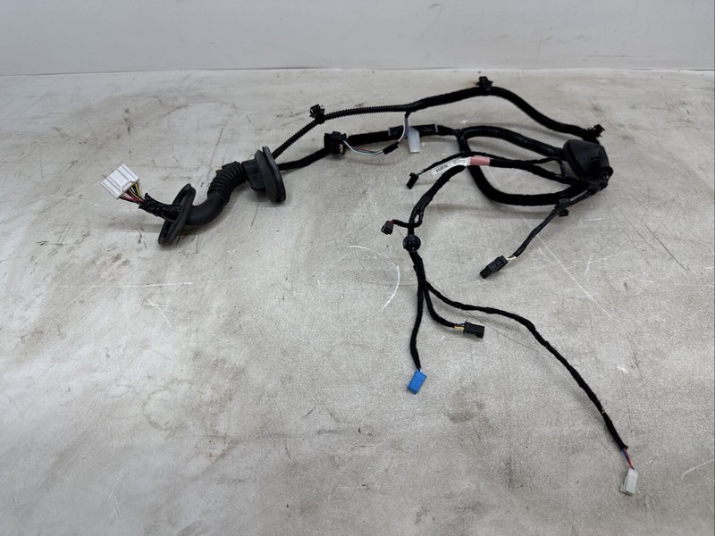 🌟2017-2021 Tesla Model 3 Rear Left Door Wiring Harness 2067965-00-A 15099 B62