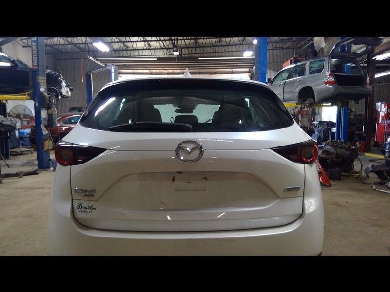 Liftgate/Hatch/Tailgate Privacy Tint Fits 17-21 MAZDA CX-5 1629032