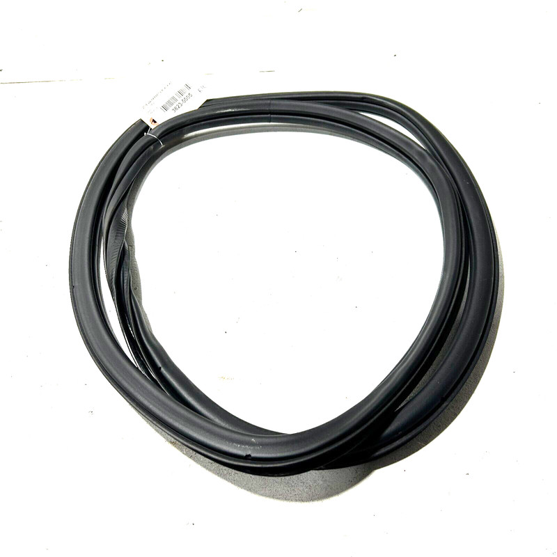 VOLKSWAGEN PASSAT 2012-2022 REAR DRIVER SIDE DOOR BODY WEATHERSTRIP SEAL OEM